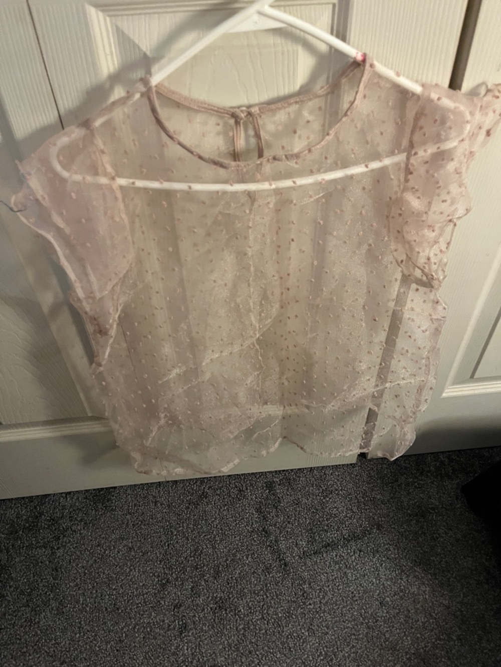 Sheer Dot Ruffle Sleeve Women's Top - Light Pink